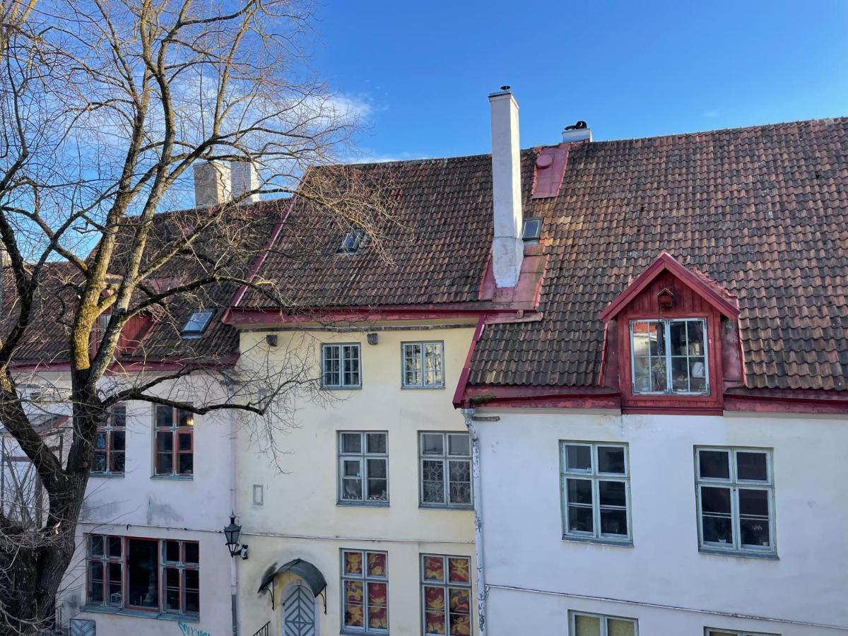 Old Town - Vene Apartment ทาลลินน์ ภายนอก รูปภาพ